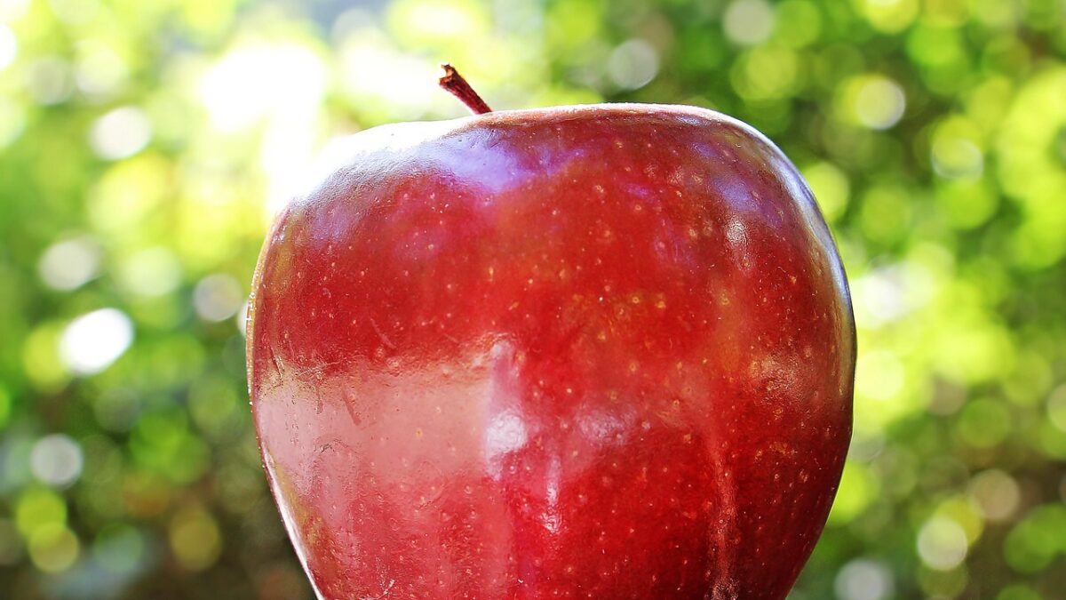 Apple impulsa su presencia en Latinoamérica con aumento del 31% en 2026